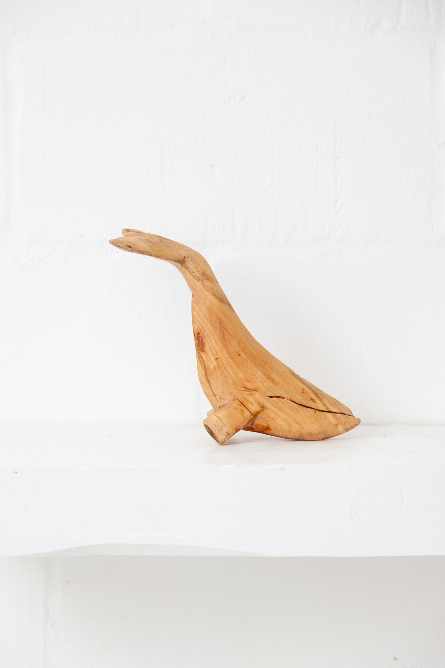 Balancing Whale