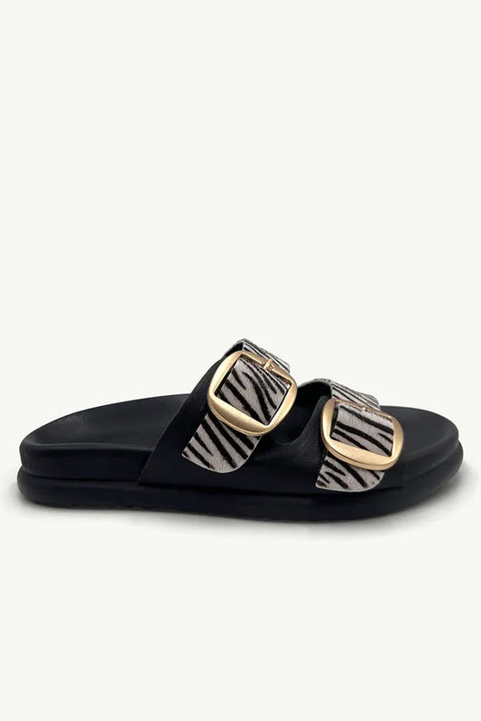 Beckett Black - Zebra