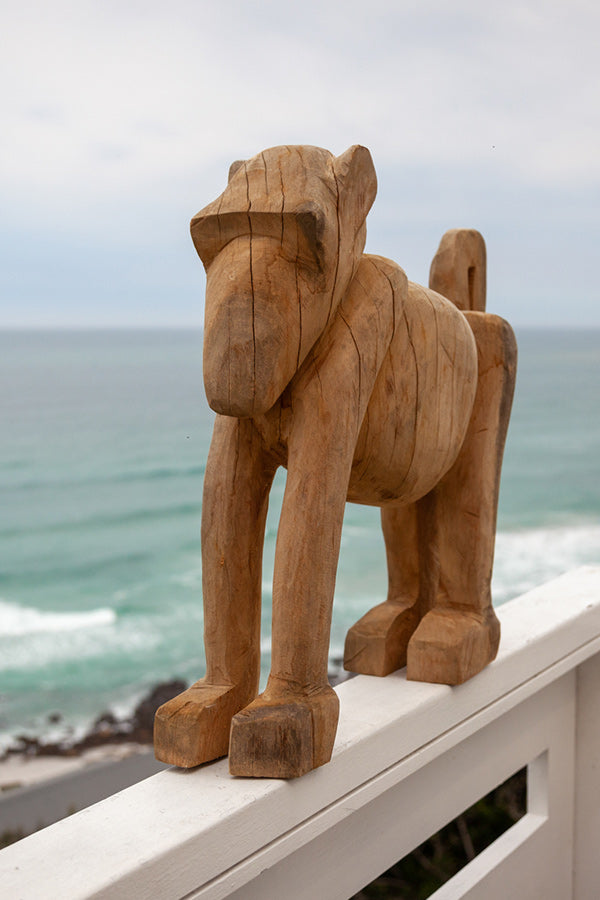 Baboon