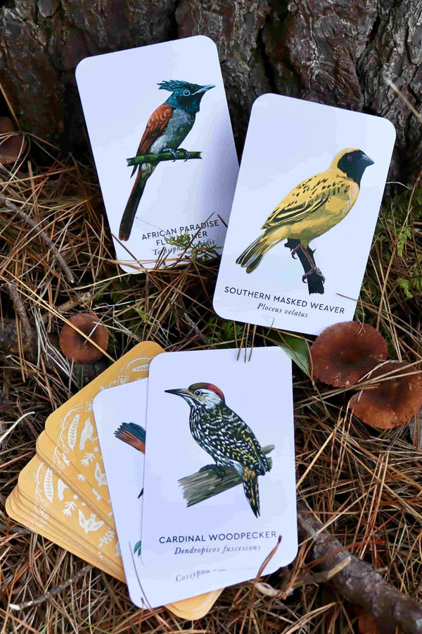 Birds Of South Africa Memory Game