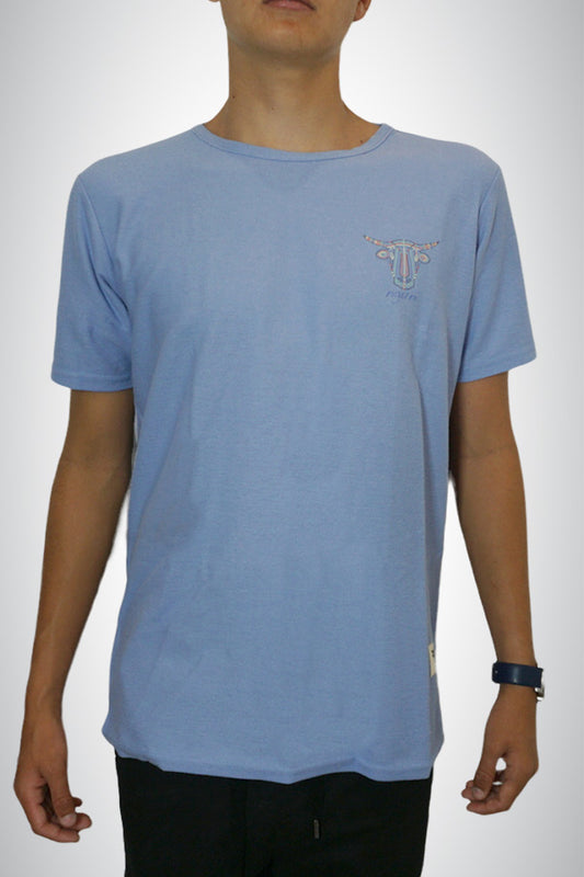 Short Sleeve Light Blue Top